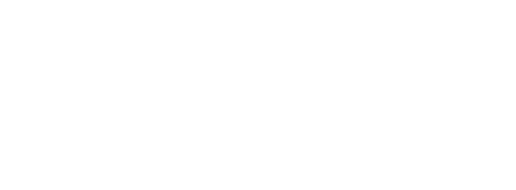 phoenix developments management & leasing ltd logo upscaled white